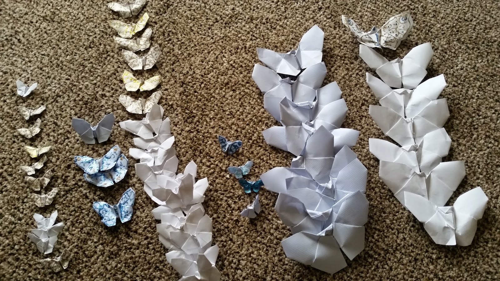 Kelly J. Felsted Mitchell Butterfly streamers